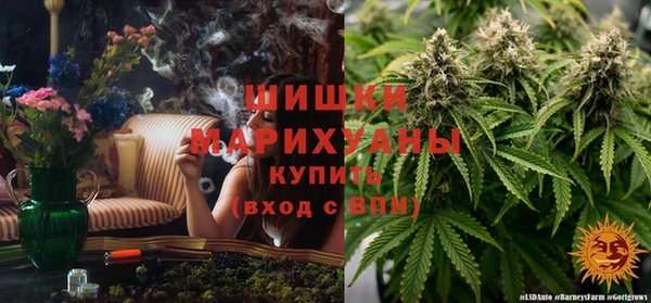 прущие крисы Мегион