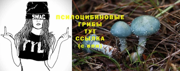 прущие крисы Мегион