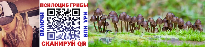 Галлюциногенные грибы Magic Shrooms  Купить  Пудож 