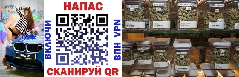 МАРИХУАНА гибрид  Купить где  Пудож 